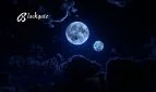 Blackgate