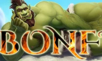 Bonfire cover