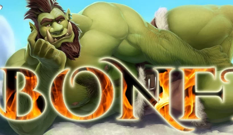 Bonfire cover