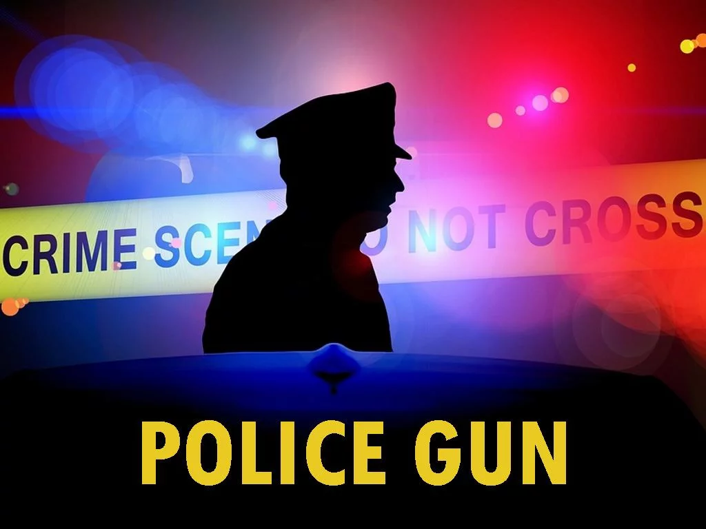 Police Gun cover