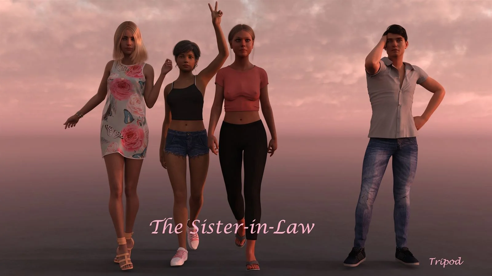 The Sister in Law cover