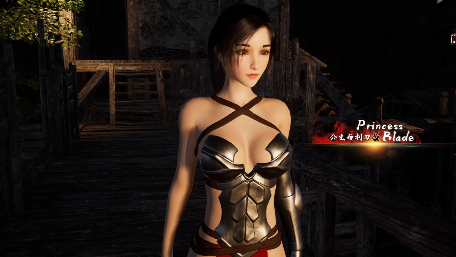 Princess And Blade cover