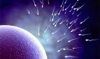 Breeders Haven: Reconception