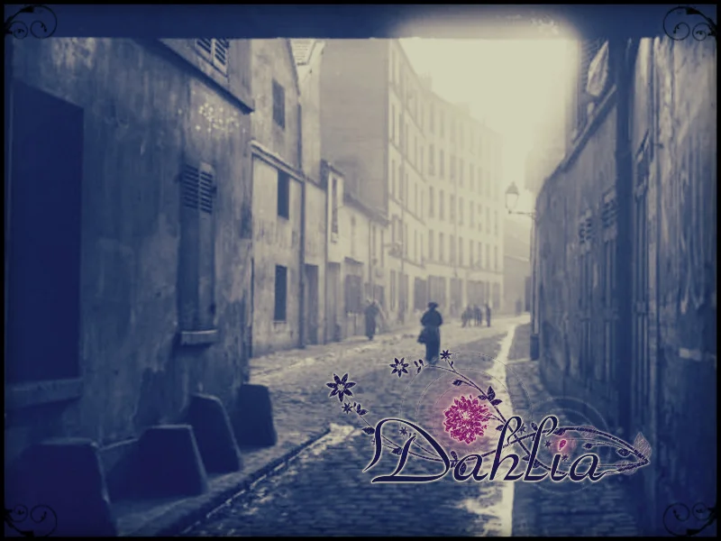 Dahlia cover