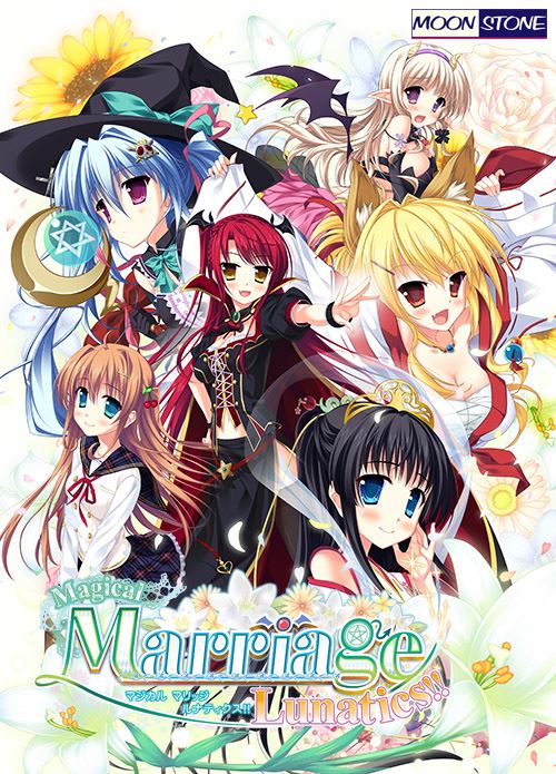 Magical Marriage Lunatics!! cover