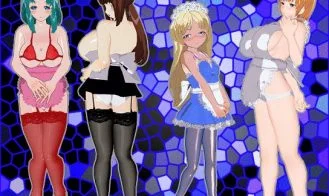 Maids Perfect cover