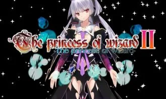 The Princess of Wizard 2 cover