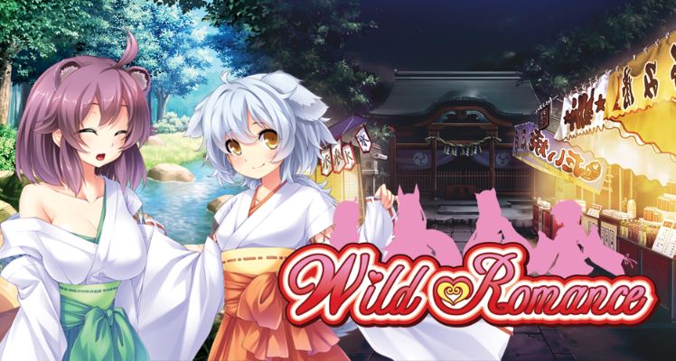 Wild Romance cover