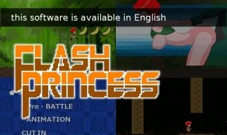 Flash Princess cover
