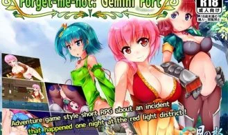 Forget-Me-Not Gemini Fort cover