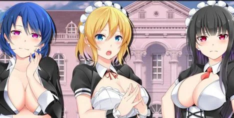Himeko Maid cover