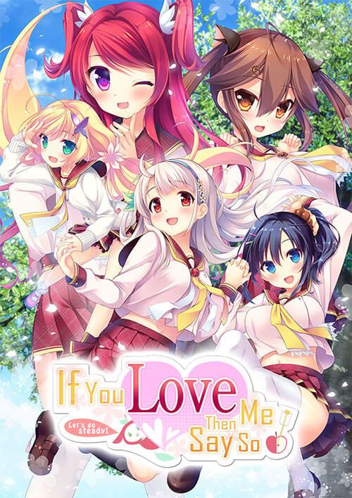 If You Love Me, Then Say So! cover