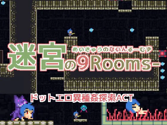 Labyrinth of 9 Rooms cover
