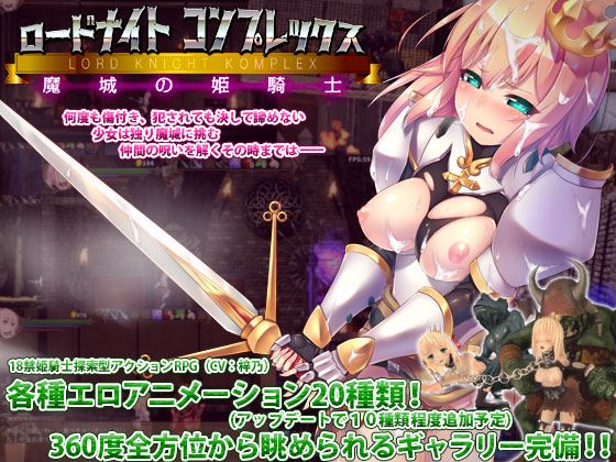 Lord Knight Complex: The Princess Knight Of The Majo cover