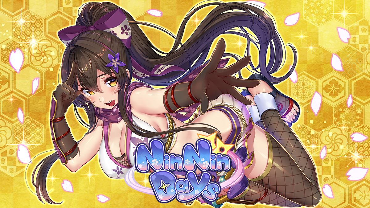 NinNinDays cover