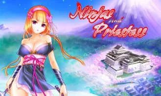 Ninjas and priestess cover