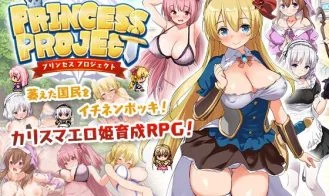 Princess Project cover