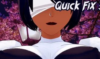 Quick-fix 3 cover