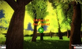 Shibari in the Forest cover