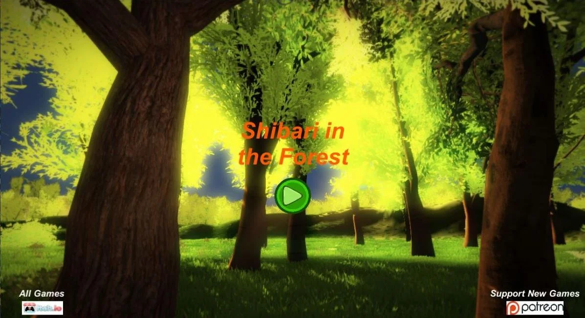 Shibari in the Forest cover