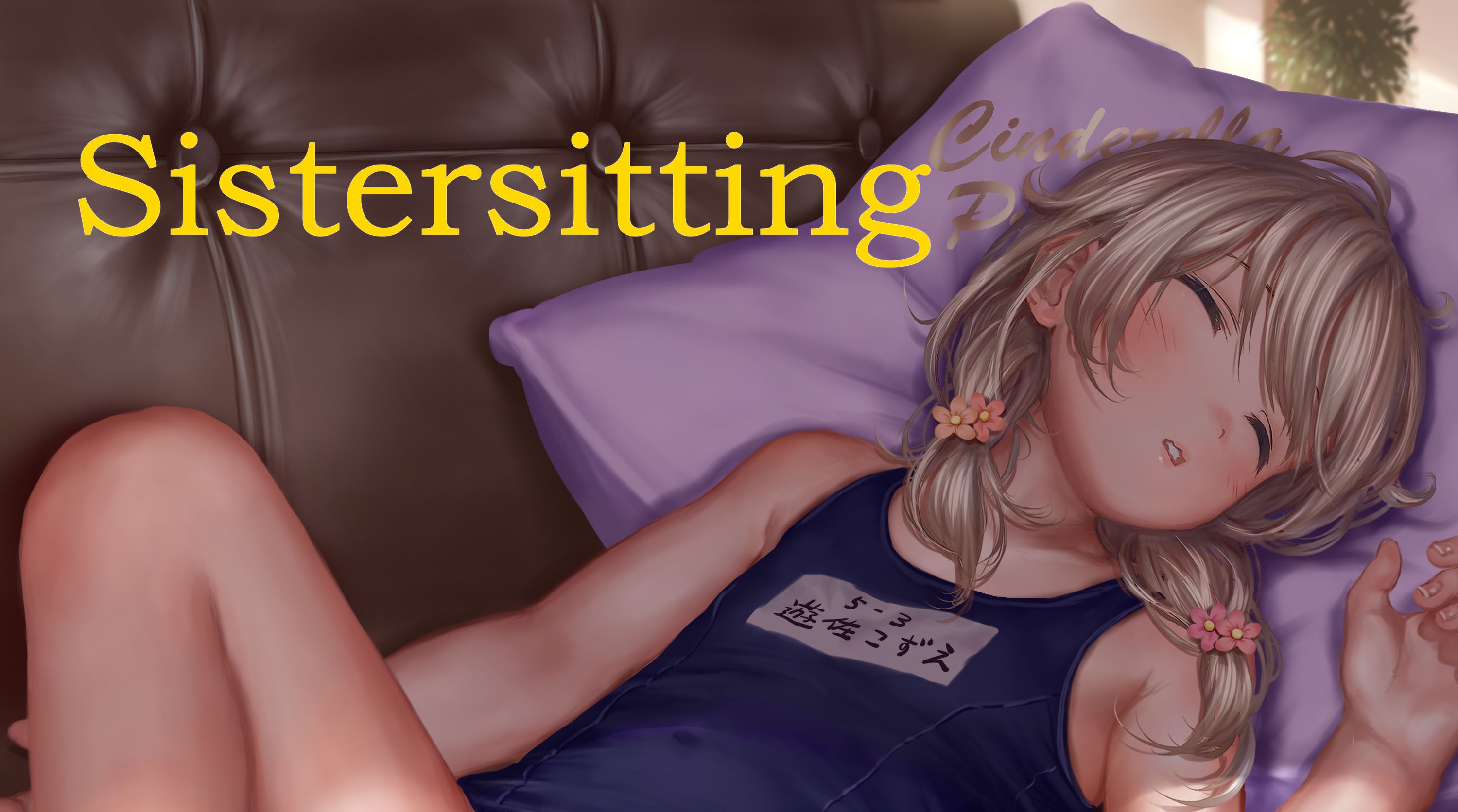 Sistersitting Housesitting cover