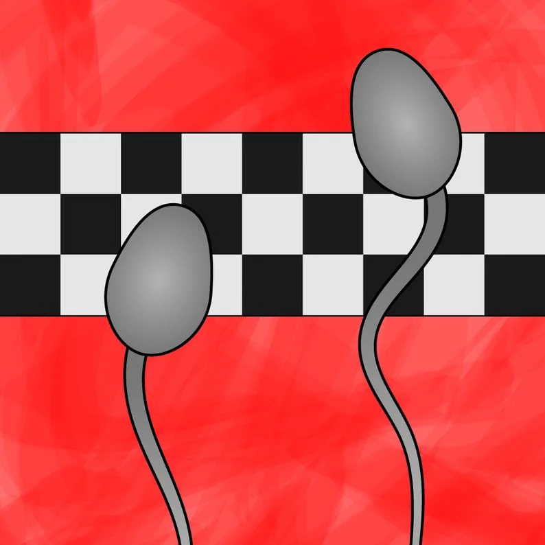 Sperm Race cover