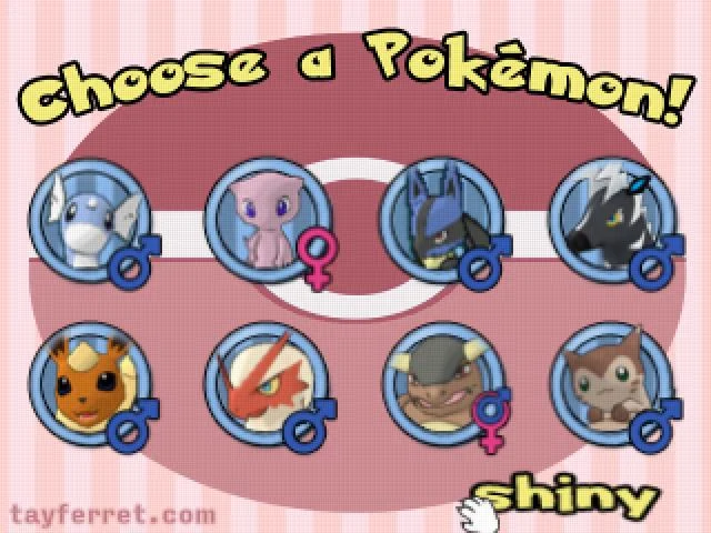 Tay Ferret's Pokémon-Amie cover