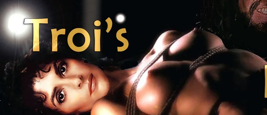 Troi's Disgrace cover