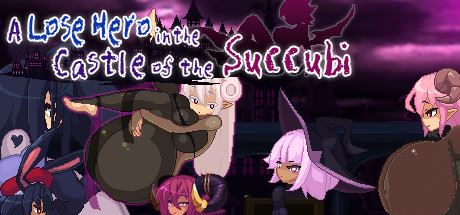 A Lose Hero in the Castle of the Succubi cover