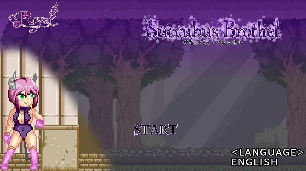 Succubus Brothel cover