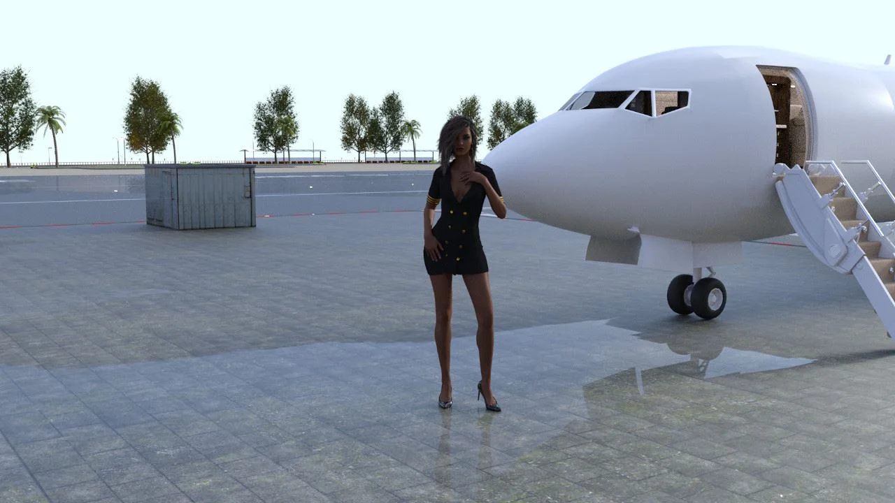 My New Life as a Stewardess cover
