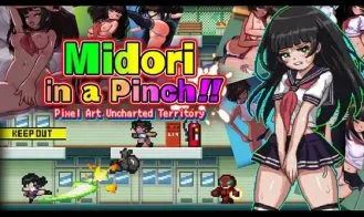 Midori in a Pinch: Pixel Art Uncharted Territory cover