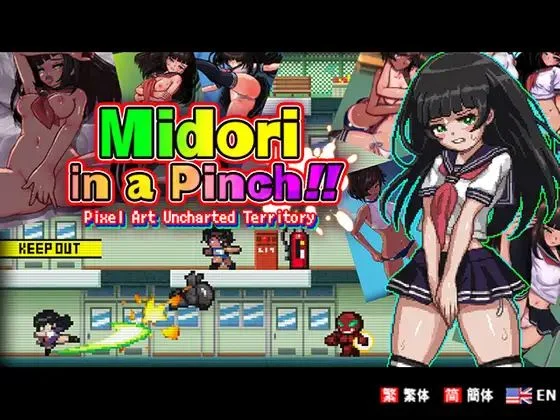Midori in a Pinch: Pixel Art Uncharted Territory cover