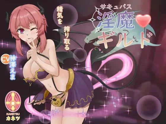 Succubus Adventure cover