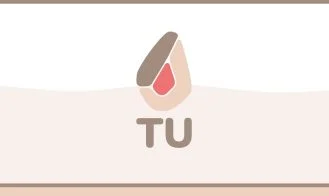 TU Project cover