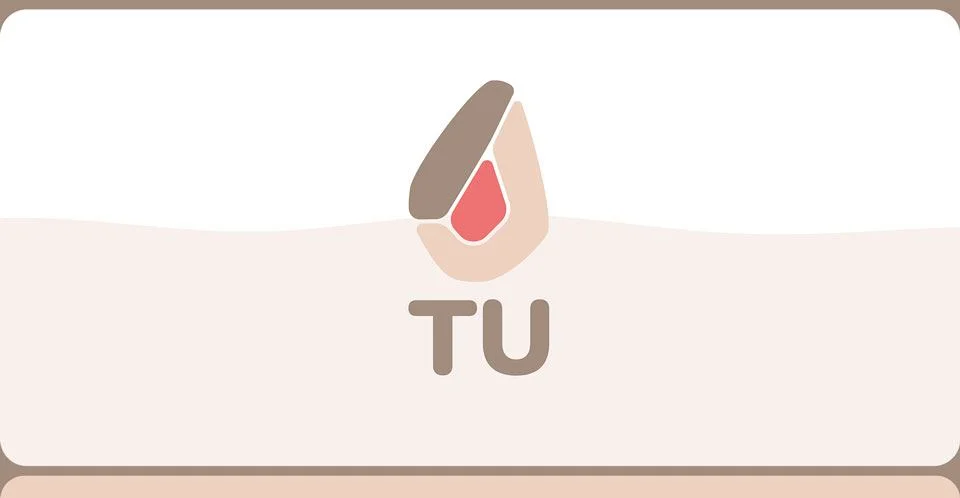 TU Project cover