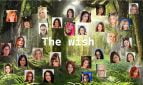 The Wish
