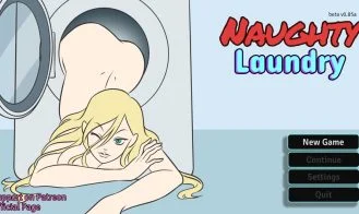 Naughty Laundry cover