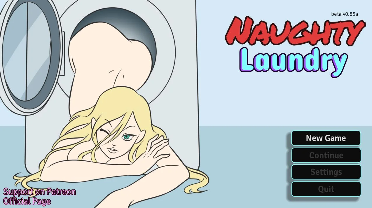 Naughty Laundry cover
