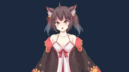 I got a millenary cat cover