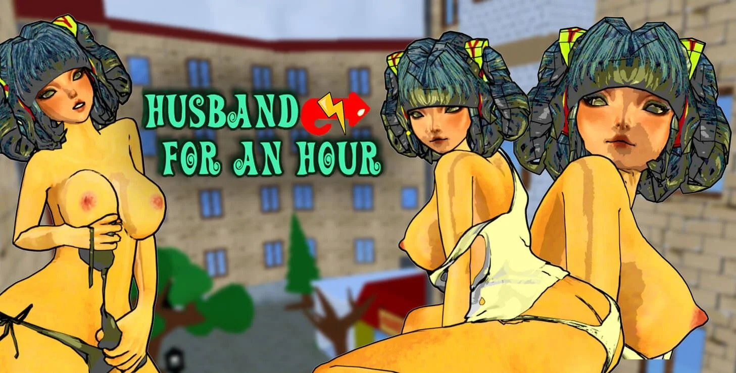 Husband for an Hour cover