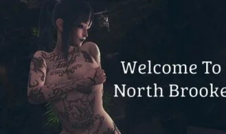 Welcome to North Brooke cover