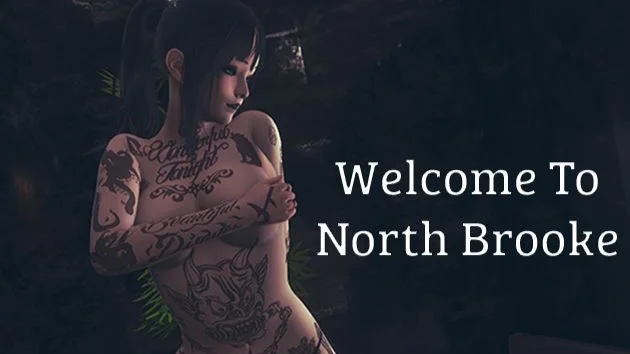 Welcome to North Brooke cover