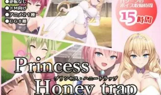Princess Honey Trap cover