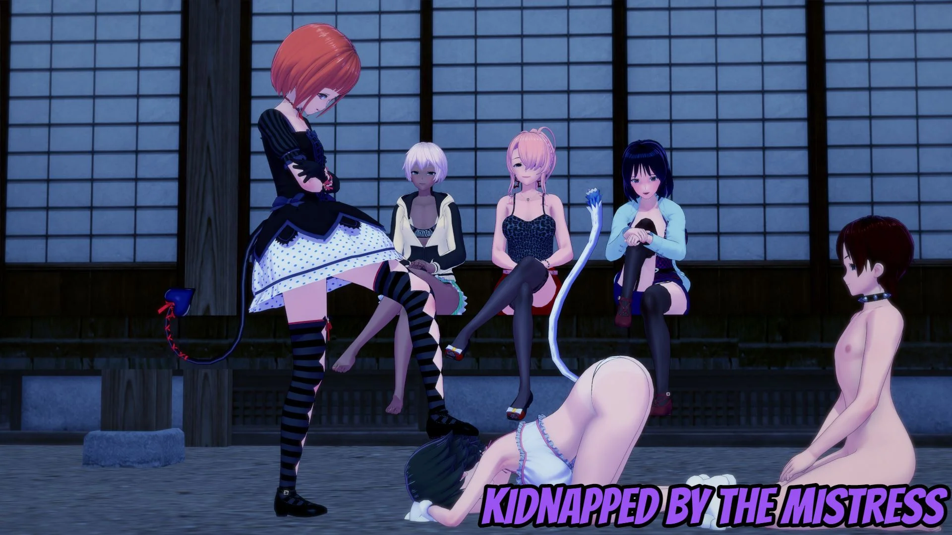Kidnapped by the Mistress cover