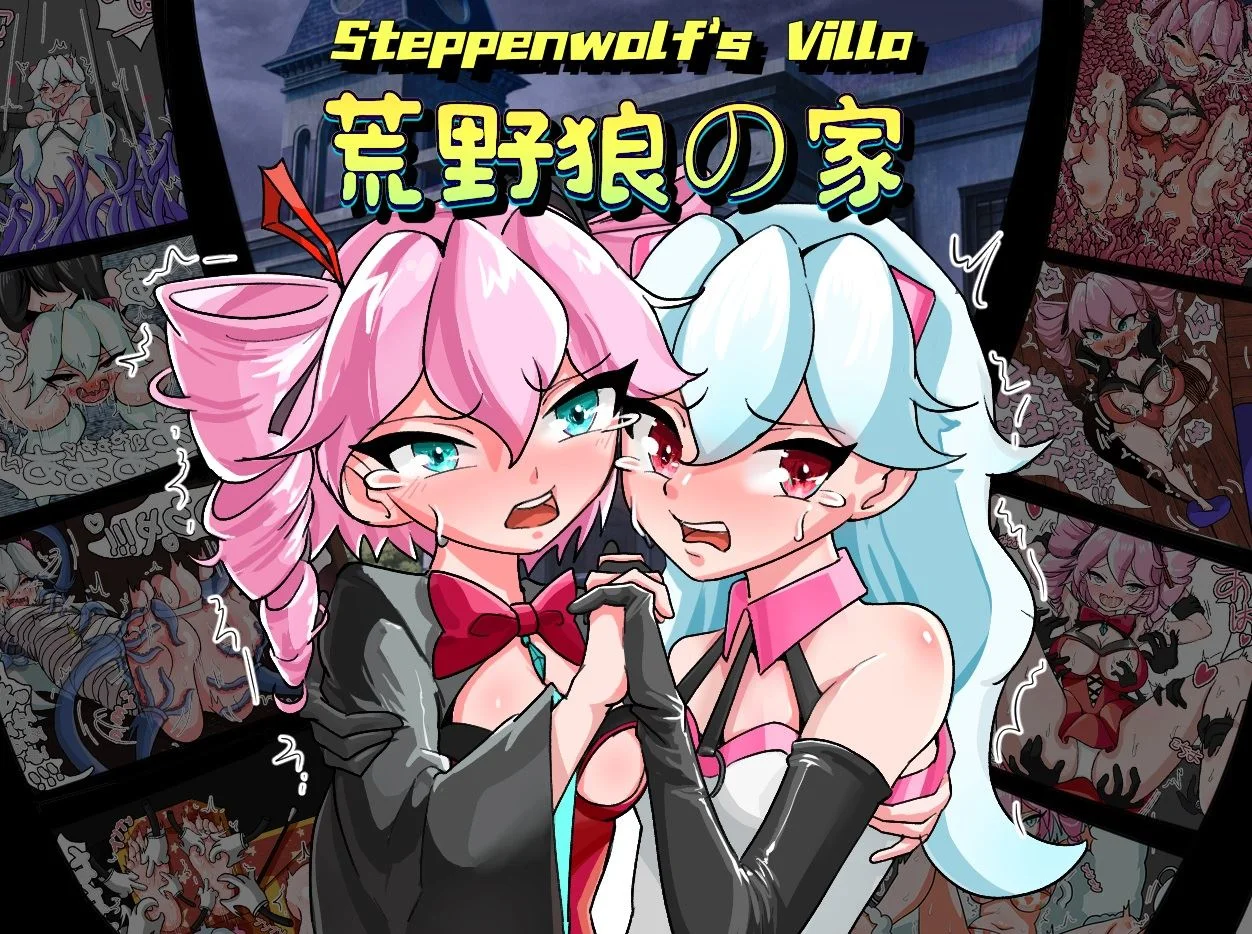 Steppenwolf s Villa cover