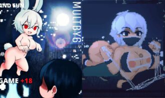 Succubus Hunt cover