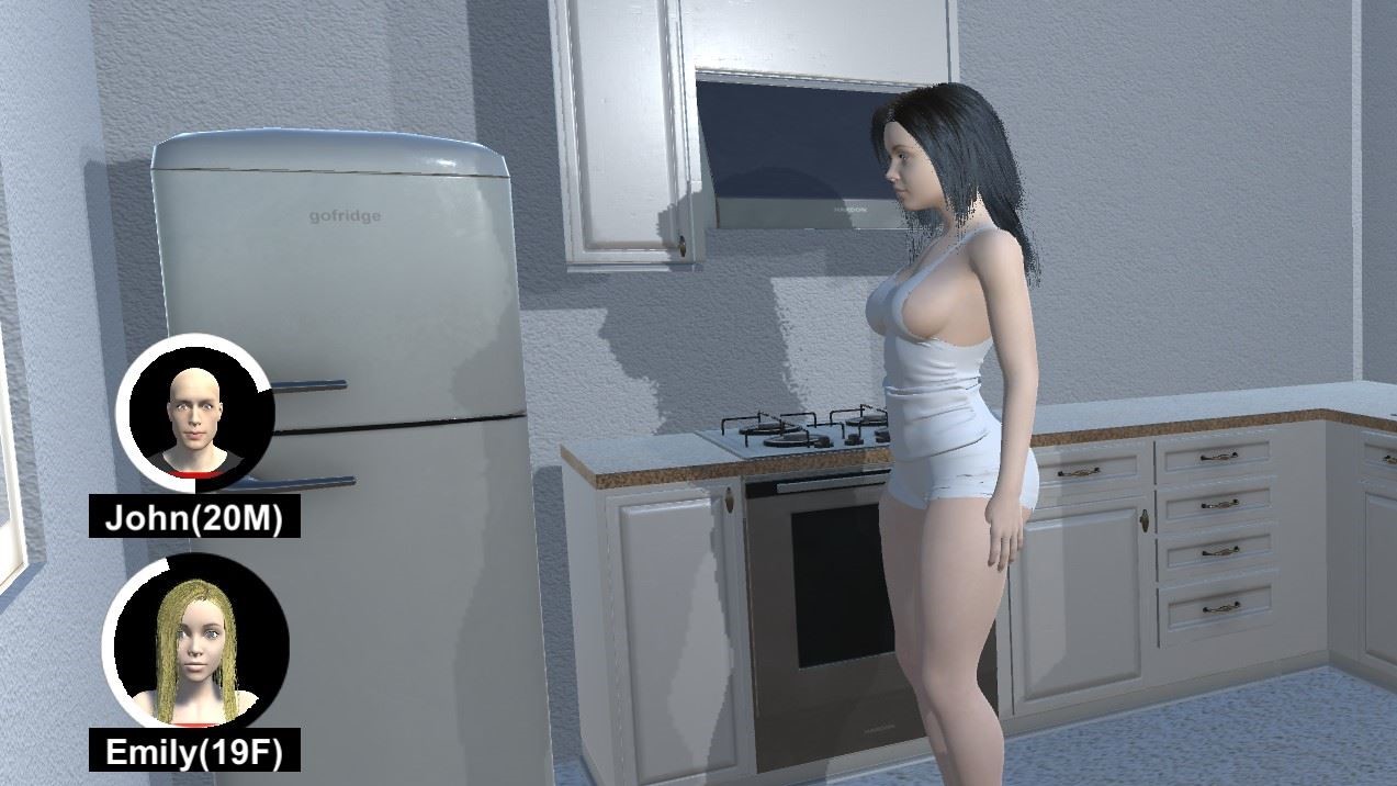 The Life Sim cover