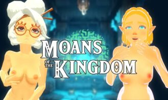 Zelda: Moans of the kingdom cover