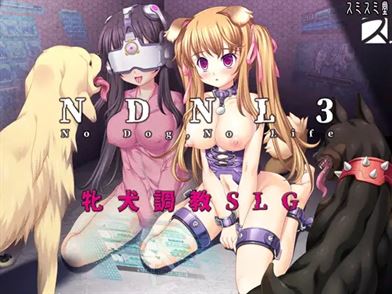 NDNL3-No Dog, No Life cover